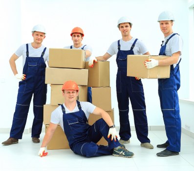 Visual for supplier audit and due diligence in a logistics supply chain