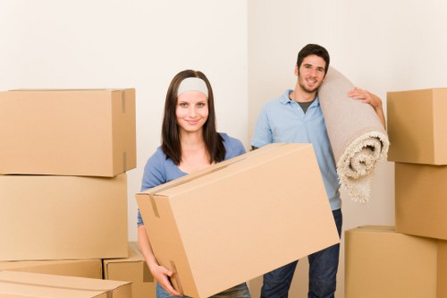 Careful loading of boxes and household items for a Holland Park move