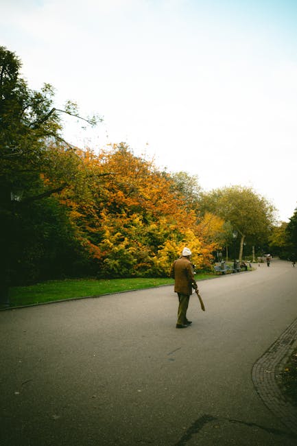 A person dressed in a brown coat and white hat stands on a paved street in a residential area during autumn, holding a large cardboard box in one hand and an umbrella in the other. The scene features a row of trees with vibrant orange, yellow, and green leaves on the left side and a clear, pale sky above. The person appears to be preparing for a home relocation or moving process, possibly waiting to load or unload items from a nearby vehicle. In the background, additional figures can be seen walking along the street, and there are parked cars and residential buildings further down the road. The environment suggests an outdoor urban or suburban setting suited for house removals, with natural lighting highlighting the seasonal foliage, supporting the context of professional moving services such as those offered by Man with Van Holland Park.