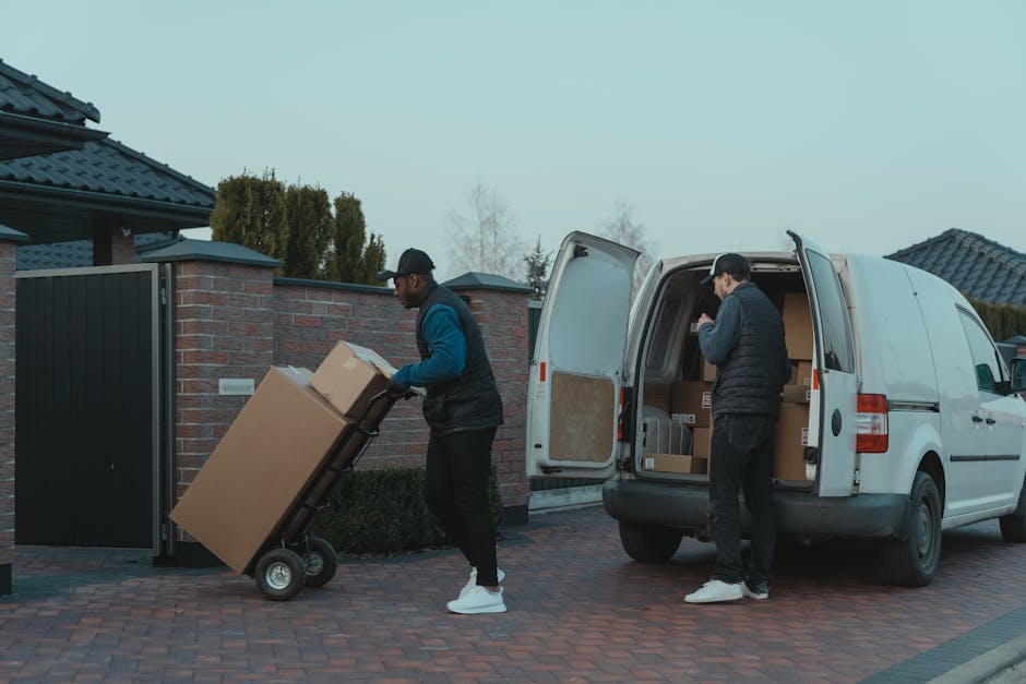 A young man with a serious expression, wearing a black cap and white polo shirt, stands inside a moving van with open rear doors. Behind him, there are numerous cardboard boxes of various sizes, some stacked on top of each other, indicating packing activities related to house removals. The interior of the van is lined with dark material, and the boxes are sealed with packing tape, suggesting careful preparation for a home relocation or furniture transport. The van is parked on a pavement, with natural daylight illuminating the scene, and the man appears to be part of a professional removals service such as Man with Van Holland Park, preparing for a relocation or loading process.